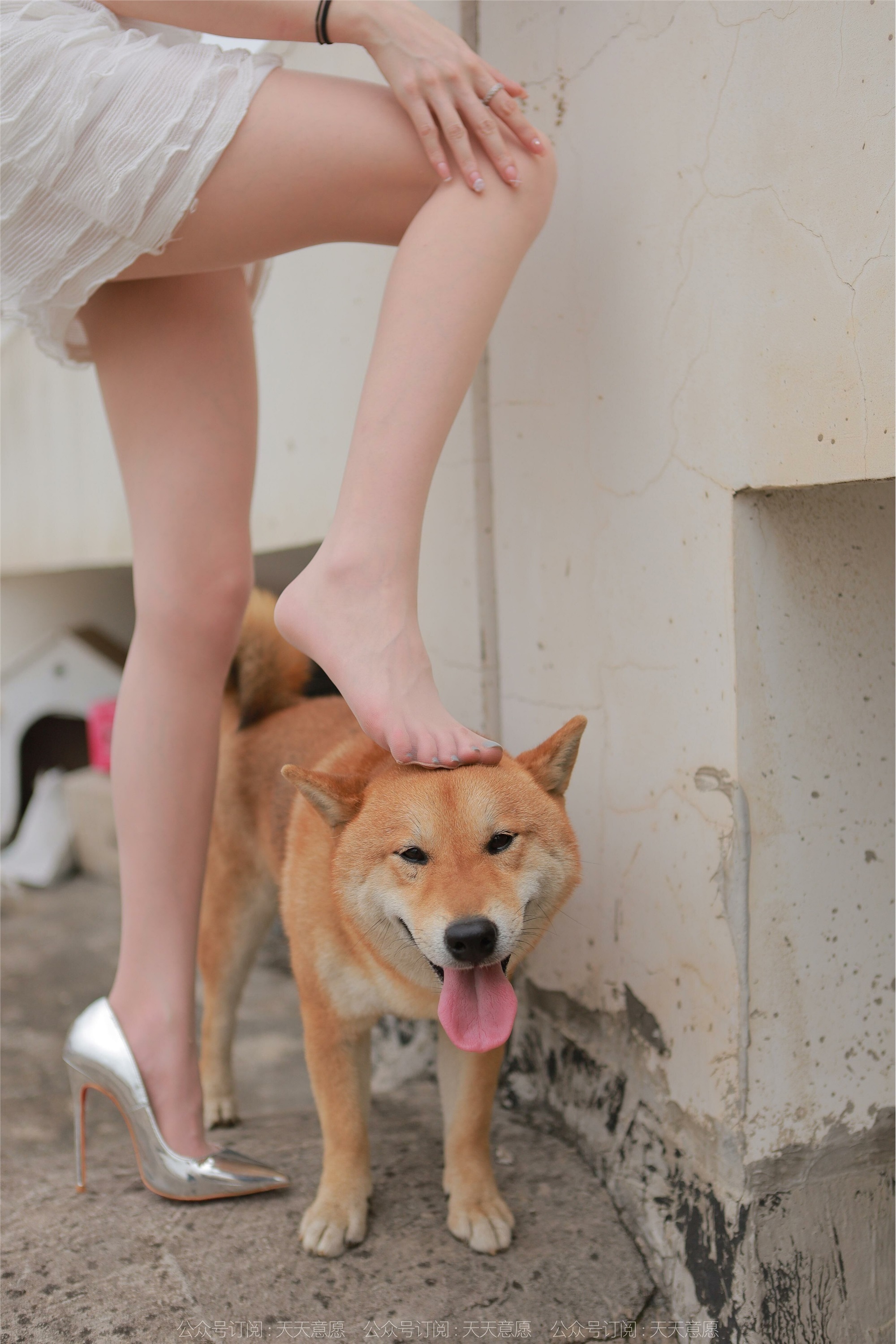 IESS异思趣向 2021.11.25 丝享家979：佳爷《12月女神佳爷-特辑》